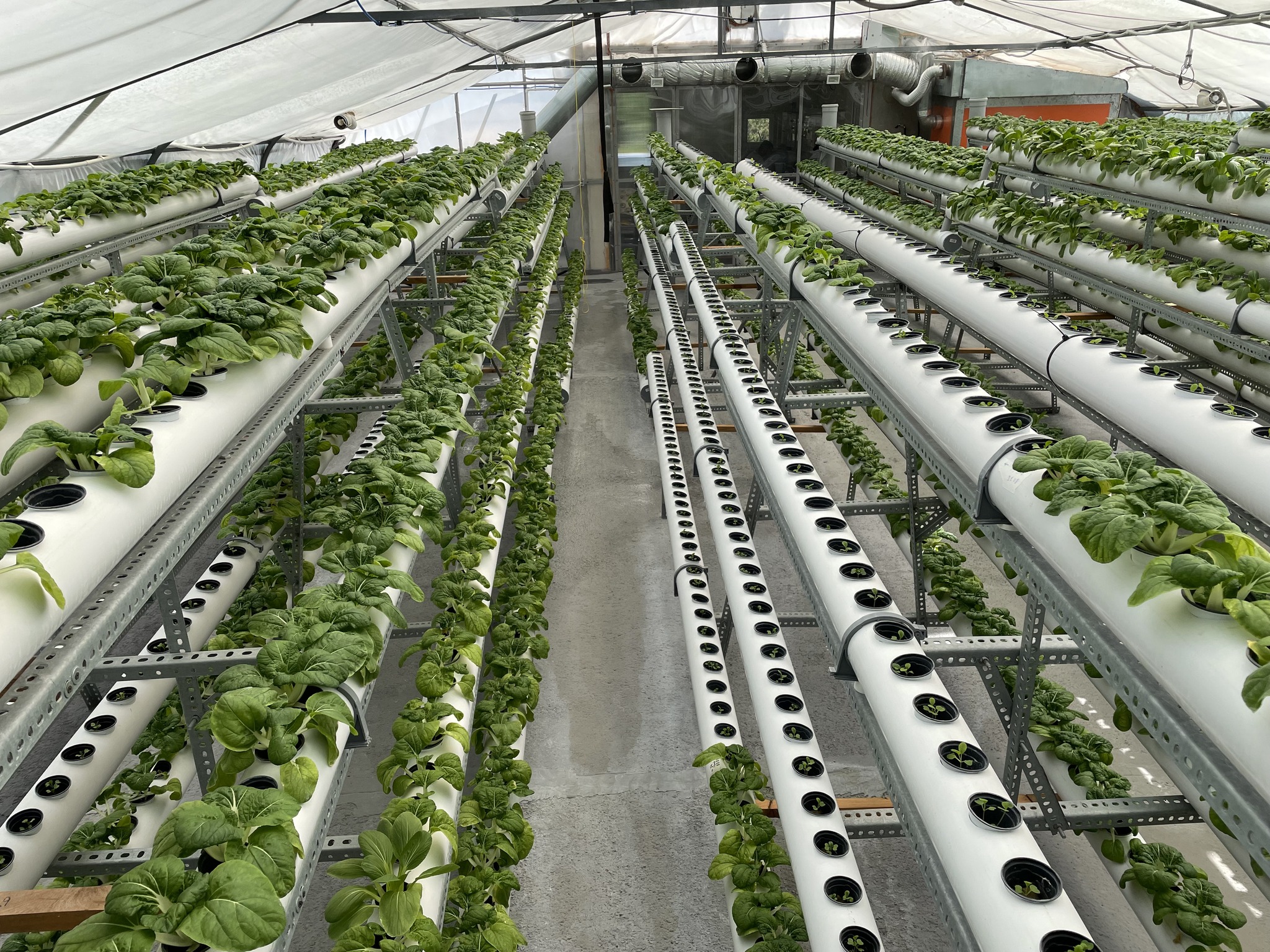 Aquaponics waste management