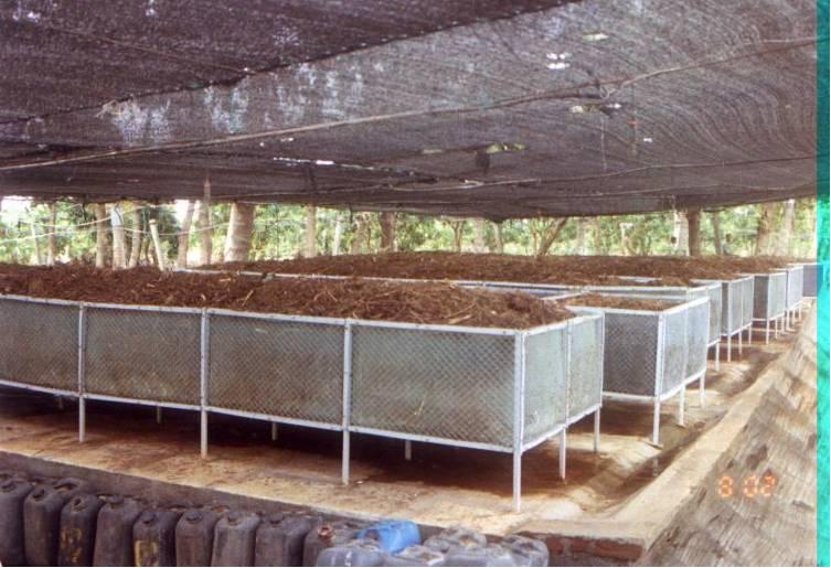 Farm based bio waste management